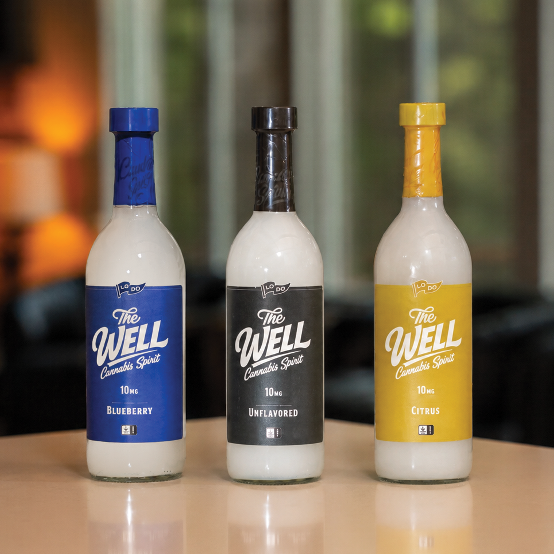 LoDo 3-Bottle Bundle — Well, Blueberry & Citrus 750ml hemp-derived Delta-9 THC spirits
